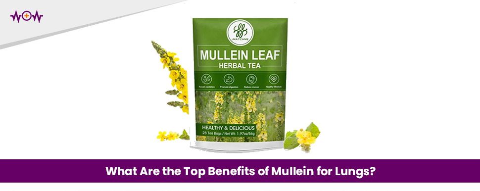 What Are the Top Benefits of Mullein for Lungs?