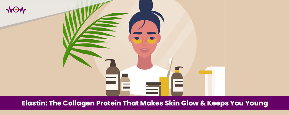 Elastin: The Collagen Protein That Makes Your Skin Glow And Keeps You Young