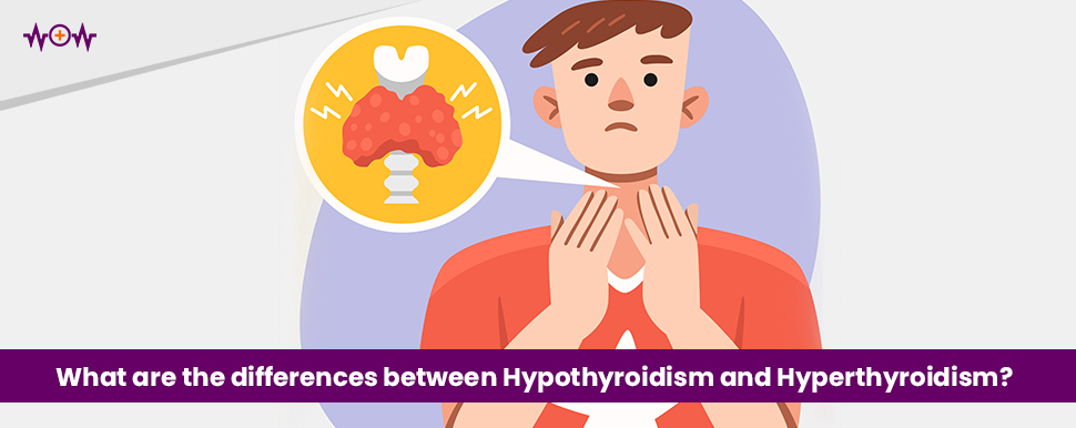 What are the differences between Hypothyroidism and Hyperthyroidism?