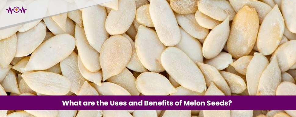 What are the Uses and Benefits of Melon Seeds?